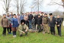 Администрация Пшехского СП совместно с казаками Белореченского РКО  облагородили центральный парк станицы Пшехской - высадили саженцы липы.